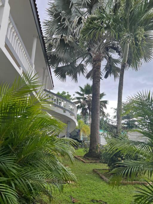 Mayaguez Spacious 3 Bedroom Villa Bagian luar foto